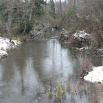 2010-snow-little-river-state-park-48.jpg
