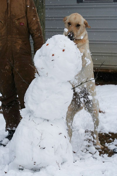 snowman-052.jpg