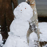 snowman-052.jpg