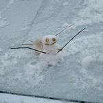 snowman-069.jpg