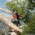 Habitat-House-045.jpg