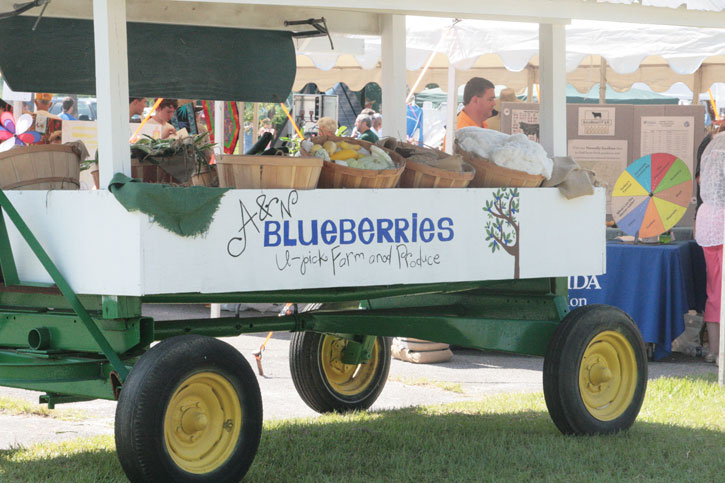 Blueberry-Jamboree-074.jpg