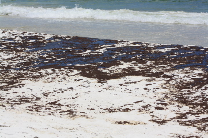 Pcola-Beach-Oil-016.jpg