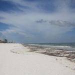 Pcola-Beach-Oil-021.jpg