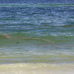 Pcola-Beach-Oil-028.jpg
