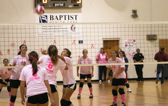 Dig-Pink-051.jpg