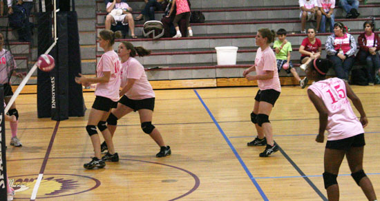 Dig-Pink-057.jpg