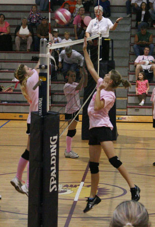 Dig-Pink-058.jpg