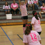 Dig-Pink-077.jpg