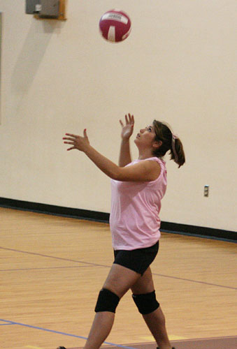 Dig-Pink-078.jpg
