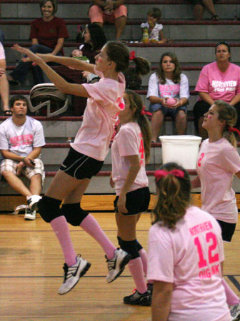 Dig-Pink-083.jpg
