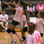 Dig-Pink-083.jpg