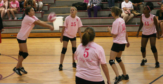 Dig-Pink-084.jpg