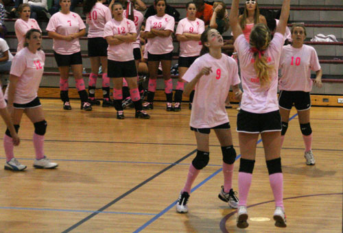 Dig-Pink-091.jpg