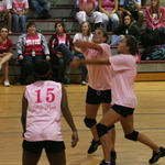 Dig-Pink-093.jpg