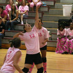 Dig-Pink-096.jpg