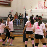 Dig-Pink-111.jpg