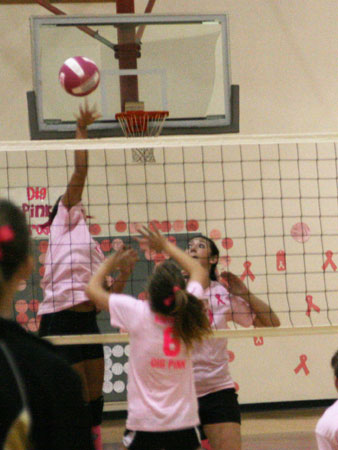 Dig-Pink-112.jpg