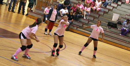 Dig-Pink-116.jpg