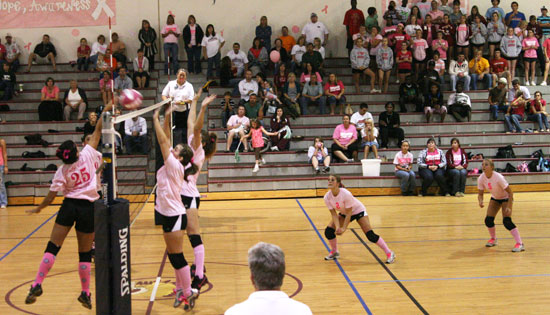 Dig-Pink-117.jpg