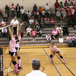 Dig-Pink-117.jpg