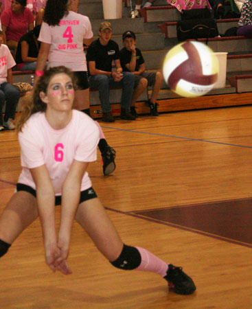 Dig-Pink-204.jpg