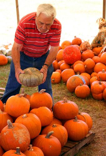 Pumpkins-030.jpg