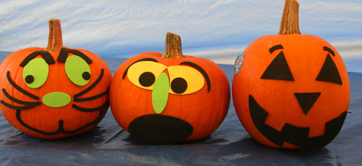 Pumpkins-036.jpg