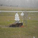 Old Atmore Rd Flomaton (Katie Fowler)