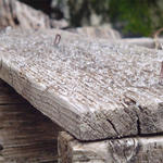 Hwy 4 Canoe Creek (Nikki Factor)