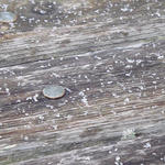 Hwy 4 Canoe Creek (Nikki Factor)