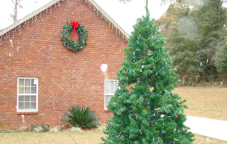 Flomaton (Alisa Hart)