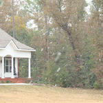 Flomaton (Alisa Hart)