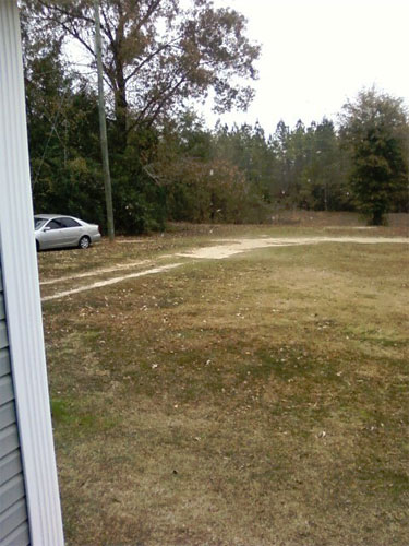 Bratt (Stacey Plant)