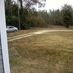 Bratt (Stacey Plant)