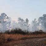 quintette-brush-fire-026.jpg