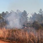 quintette-brush-fire-036.jpg