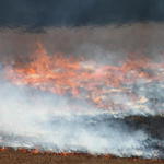 Brush-Fire-Quintette-016.jpg