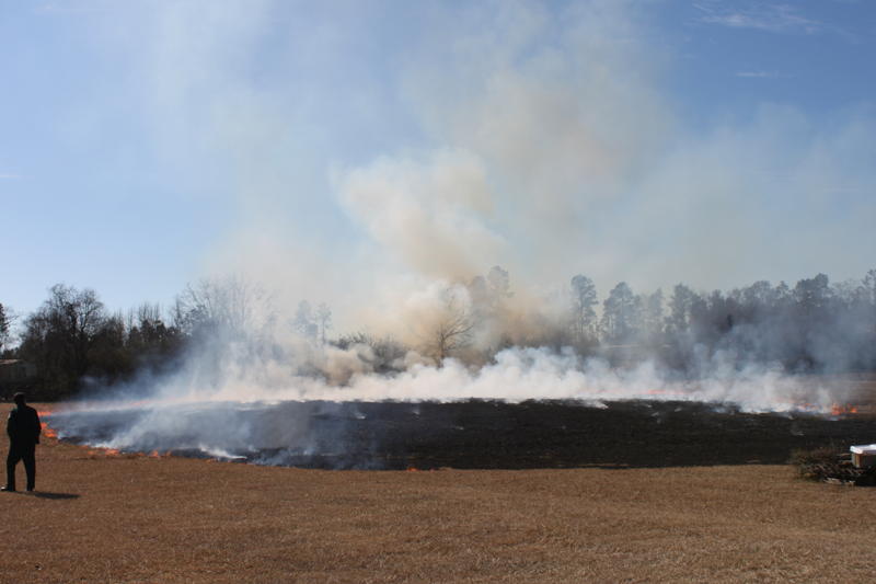 Brush-Fire-Quintette-021.jpg
