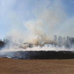 Brush-Fire-Quintette-021.jpg