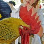 Livestock-Show-011.jpg