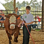 Livestock-Show-026.jpg