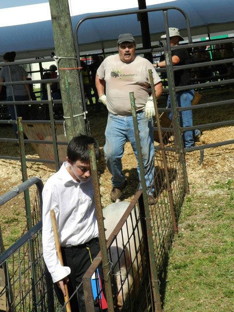Livestock-Show-030.jpg