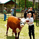 Livestock-Show-219.jpg