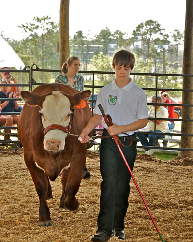 Livestock-Show-226.jpg