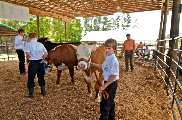 Livestock-Show-227.jpg