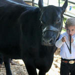 Livestock-Show-034.jpg