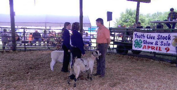 Livestock-Show-048.jpg