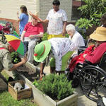 Century Care Gardening