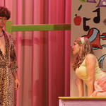 Bye-Bye-Birdie-025.jpg